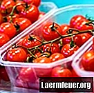 Čo spôsobuje biele škvrny na paradajkách?