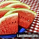 Hvorfor knekker noen vannmeloner når de fremdeles er på planten?