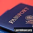 Kā pārbaudīt pases numuru