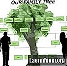 كيفية إنشاء شجرة عائلة في Word