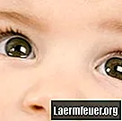 Come calcolare la probabilità del colore degli occhi di un bambino