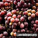 Jak jeść nasiona winogron