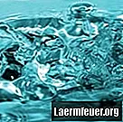 Ziekten die verband houden met slibbacteriën in bronwater