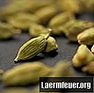 Ako pestovať kardamón zo semena