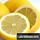 Kako napraviti limunsku kiselinu