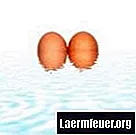 Kako natjerati jaje da pluta u čaši vode
