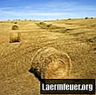 Mennyi ideig alakul ki a talajréteg rétege?