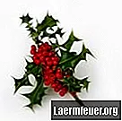 Aranjamente florale cu holly și fructe de padure pentru masa de Crăciun