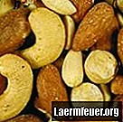 Kastanjer och mandlar för hundar