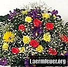 Hur man redovisar utgifter med blommor för begravningar