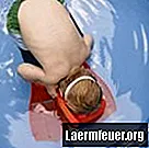 Come imparare a nuotare per i principianti adulti