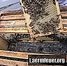 Kako izraditi električnu vadilicu meda