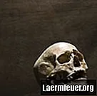 Cum se face un craniu uman din lut