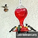 Katere živali se lahko hranijo s hranilnikom kolibrijev?