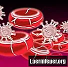 L'anemia può causare cicli mestruali ritardati e irregolari?