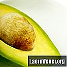 Avocado voor prikkelbare darmsyndroom