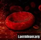 Ursachen für niedrige Thrombozytenzahl und abnormale weiße Blutkörperchen