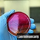 Kā iegūt H pylori baktērijas