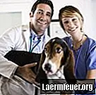 Vetarm, neutraal dieet voor honden met pancreatitis