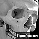 Qu'est-ce qui cause la douleur dans la mâchoire et les ganglions lymphatiques?