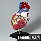 Wat te doen om de pijn te verzachten na ontvangst van een pacemaker?