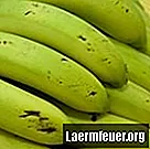 Waarom veroorzaken bananen indigestie?