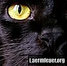 Можно ли использовать человеческие глазные капли на кошках?