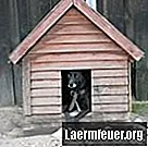 كيفية بناء بيت الكلب لابرادور المسترد