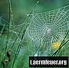 Hoe maak en versier je een koord spinnenweb