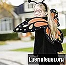 Hoe maak je een vlindervleugel van draad